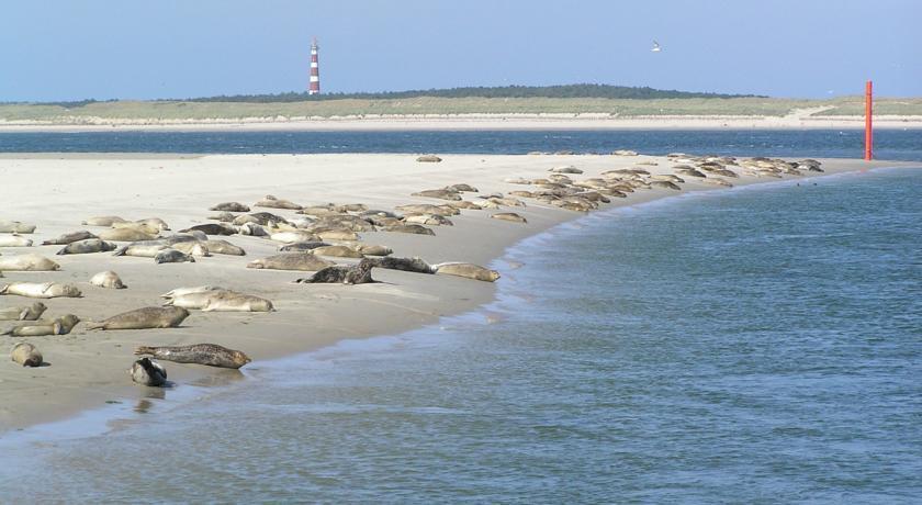 Comfort Appartementen Strandhuys en de Vuurtoren: Beachside Retreat with Private Terrace and Indoor Pool Hollum  Room photo